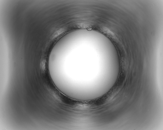 X0000087040071200705021145