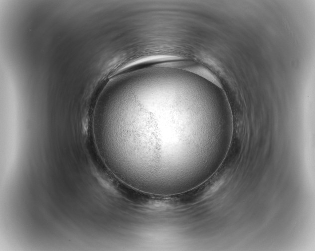X0000087040072200705021145