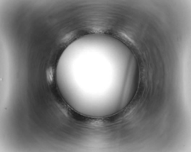 X0000087040075200705021145