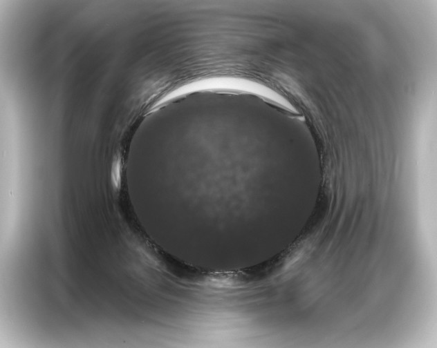 X0000087040076200705021145