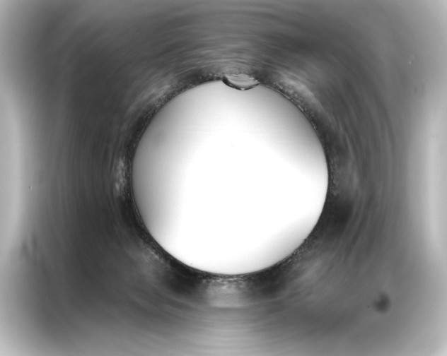 X0000087040077200705021145