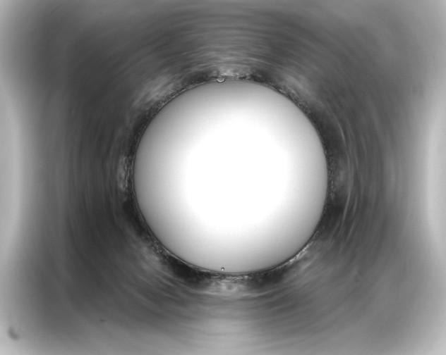 X0000087040078200705021145