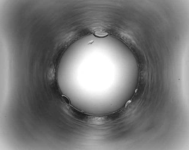 X0000087040081200705021145