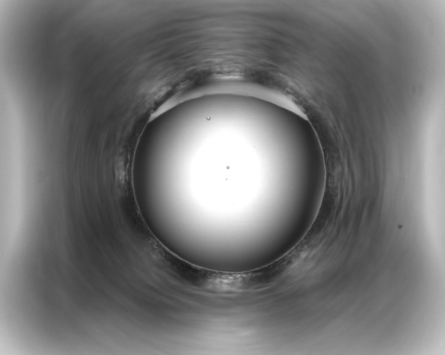 X0000087040084200705021145