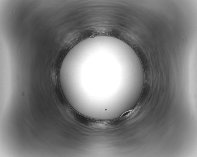 X0000087040086200705021145