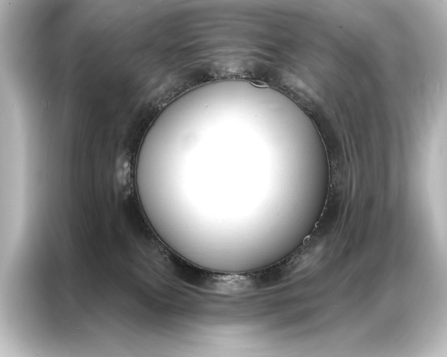 X0000087040087200705021145