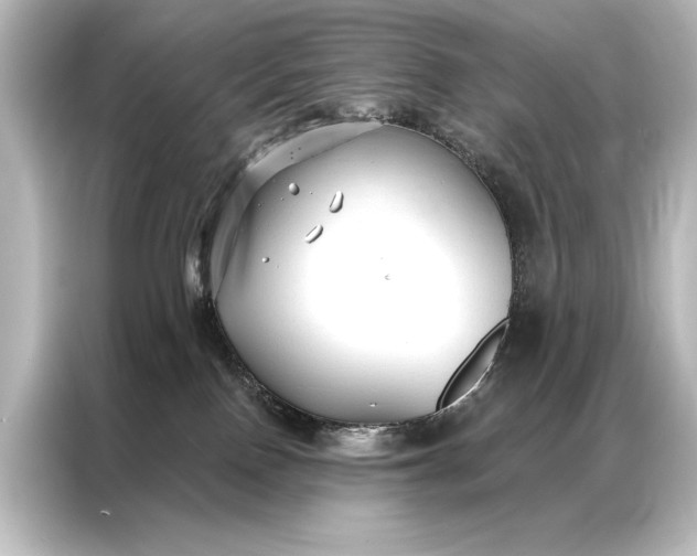 X0000087040090200705021145