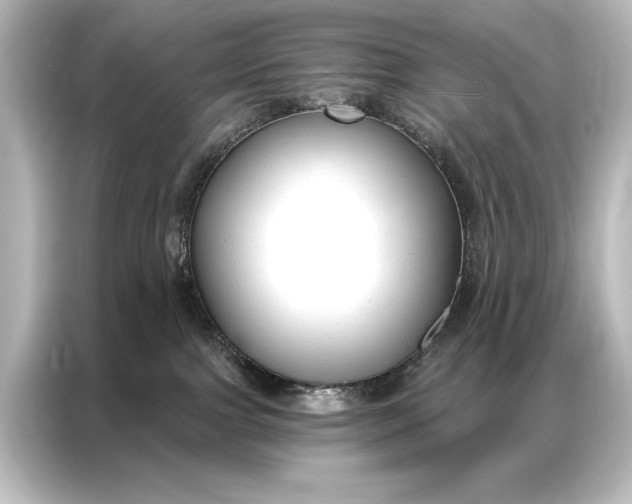 X0000087040091200705021145