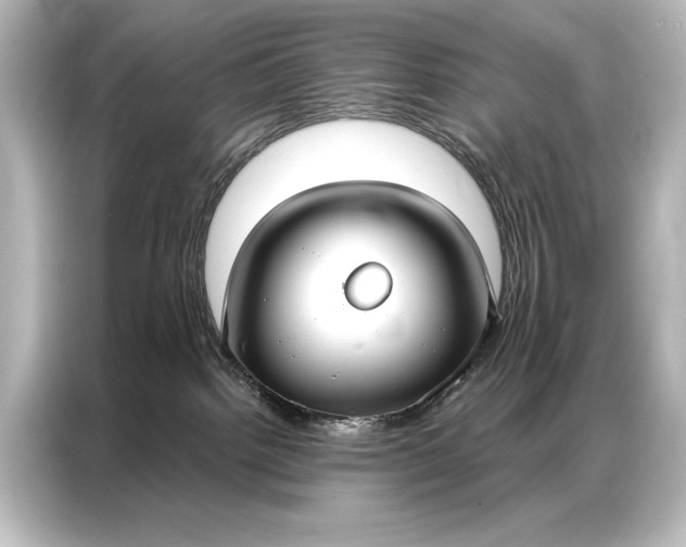 X0000087040092200705021145