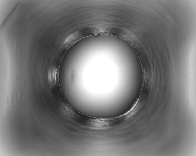 X0000087040094200705021145