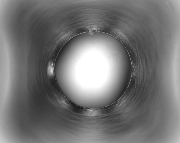 X0000087040095200705021145