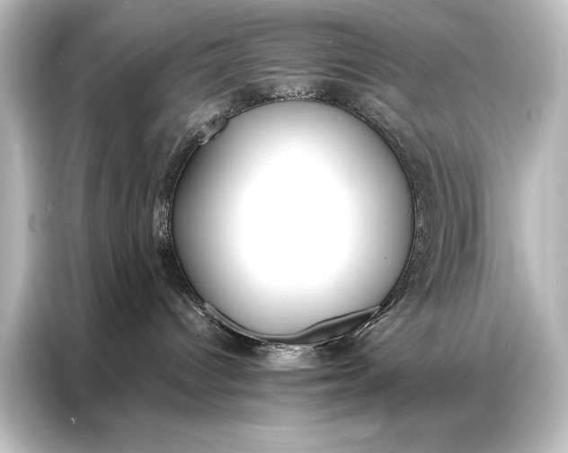 X0000087040096200705021145