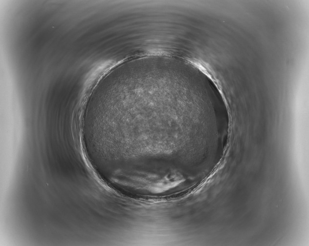 X0000087040097200705021144