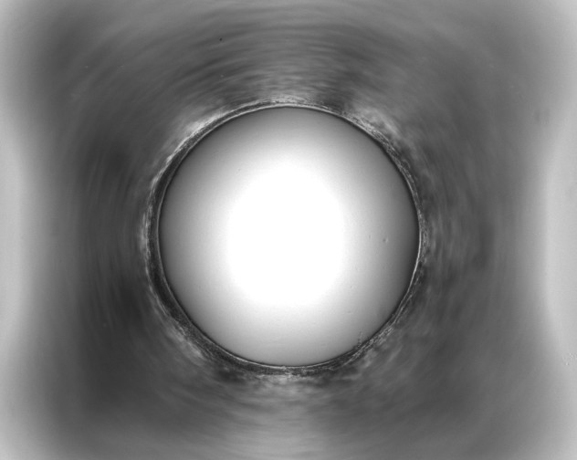 X0000087040098200705021144