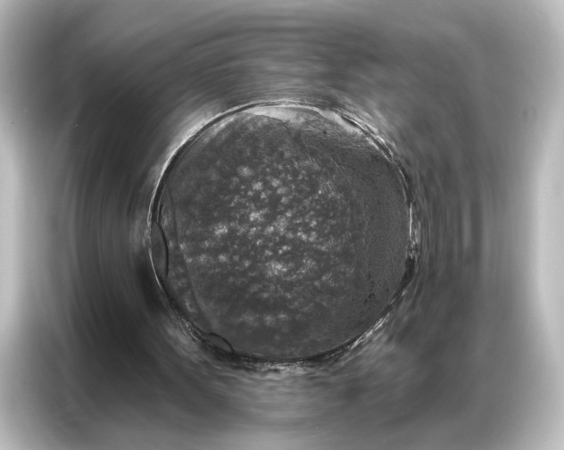 X0000087040099200705021144