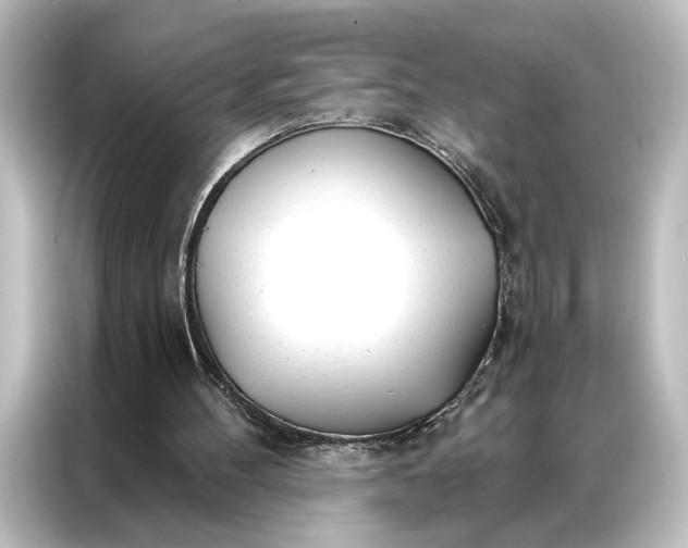 X0000087040100200705021144