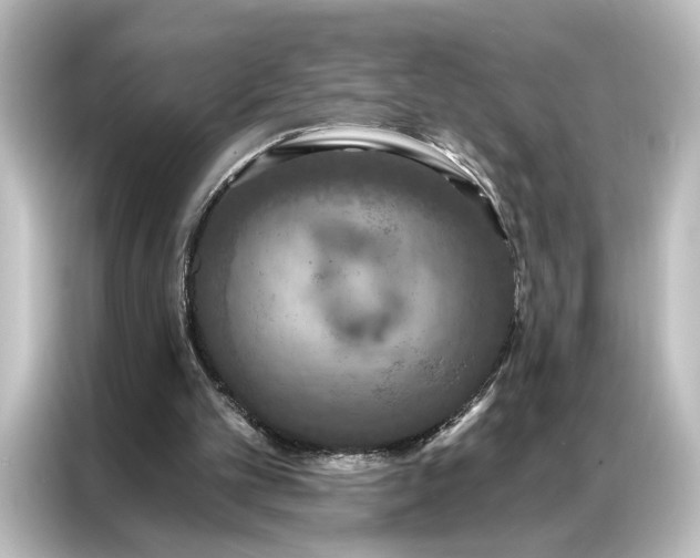 X0000087040101200705021144