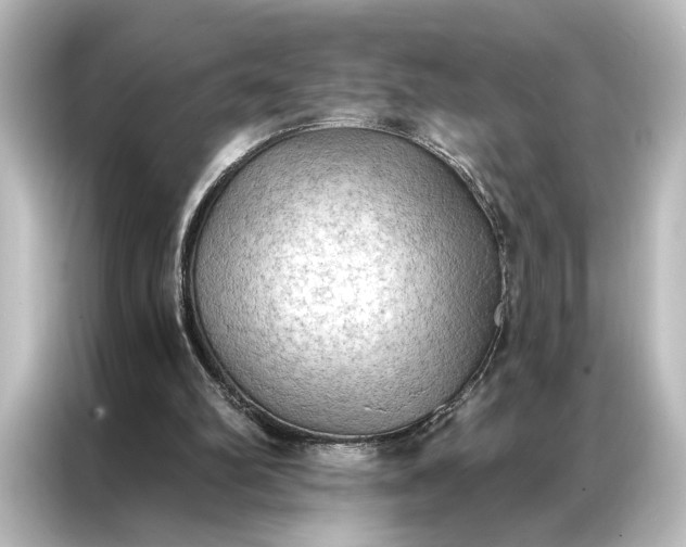 X0000087040102200705021144