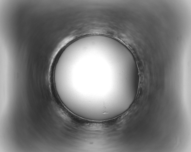 X0000087040104200705021144