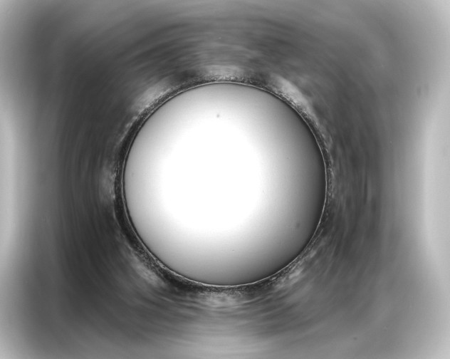 X0000087040106200705021144