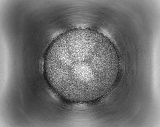 X0000087040110200705021144