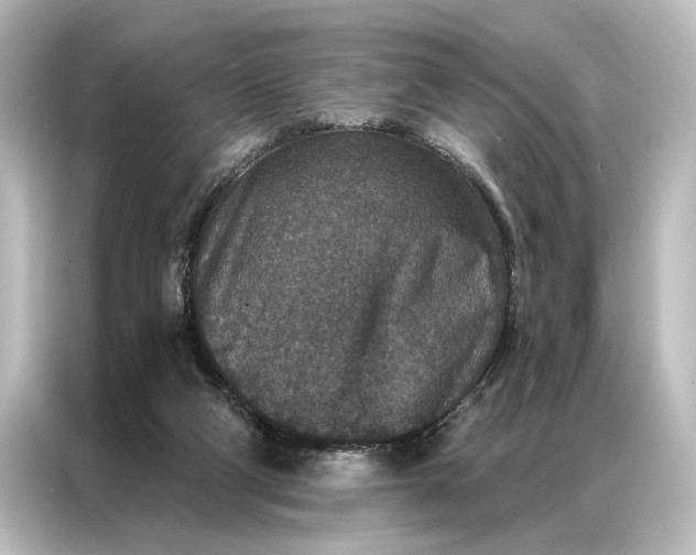X0000087040114200705021144