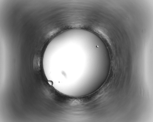 X0000087040115200705021144