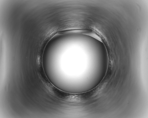 X0000087040117200705021144