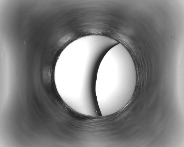 X0000087040120200705021144
