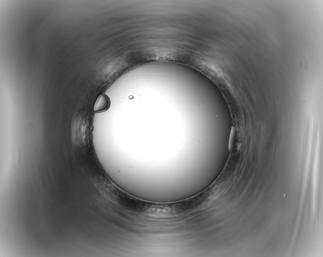X0000087040123200705021144