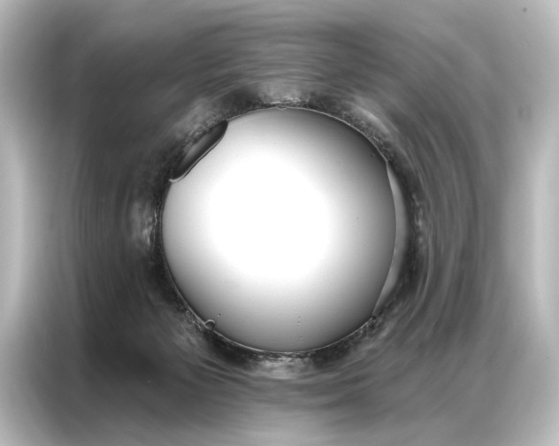 X0000087040125200705021144