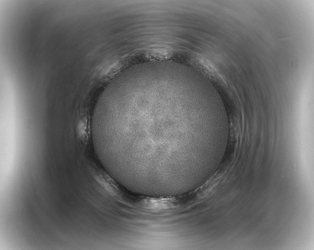 X0000087040134200705021144