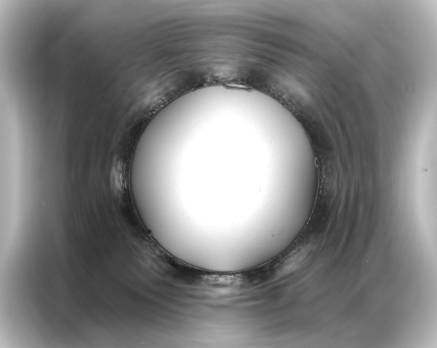 X0000087040135200705021144