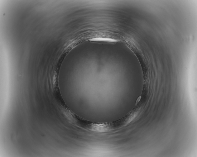 X0000087040139200705021144