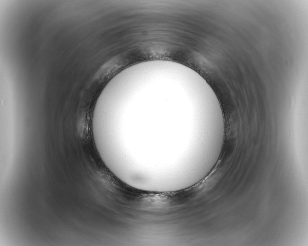 X0000087040140200705021144