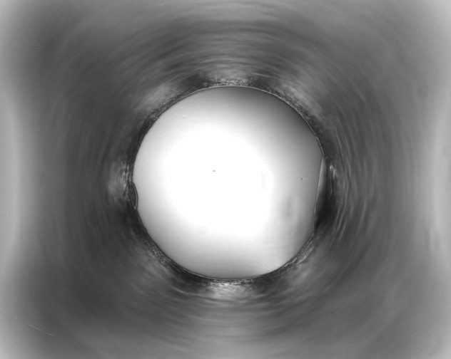 X0000087040141200705021144
