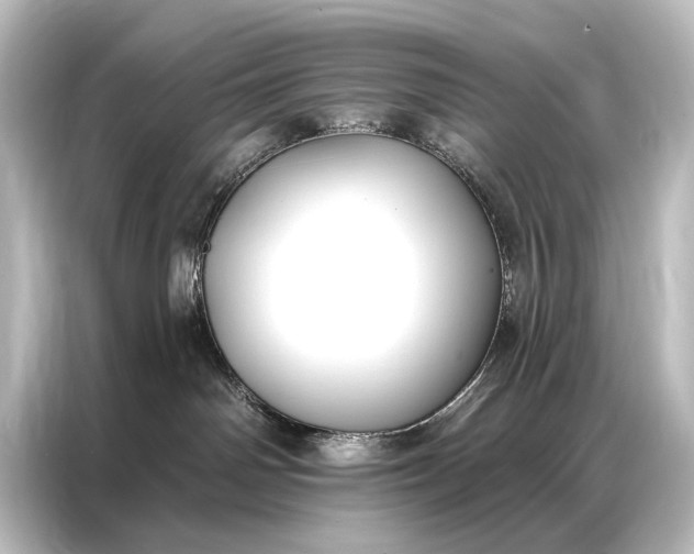 X0000087040142200705021144