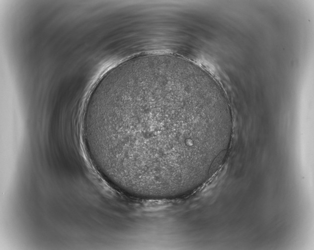 X0000087040145200705021143