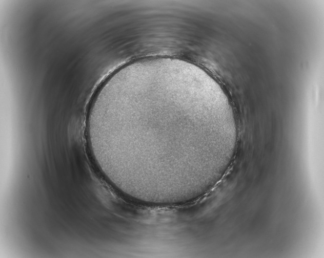 X0000087040146200705021143