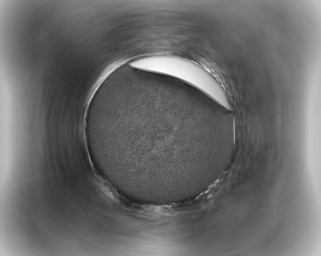 X0000087040147200705021143