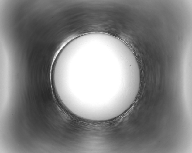 X0000087040148200705021143