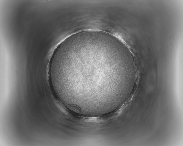X0000087040151200705021143