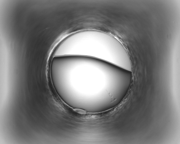 X0000087040152200705021143