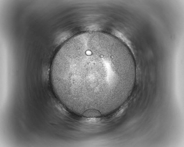 X0000087040153200705021143
