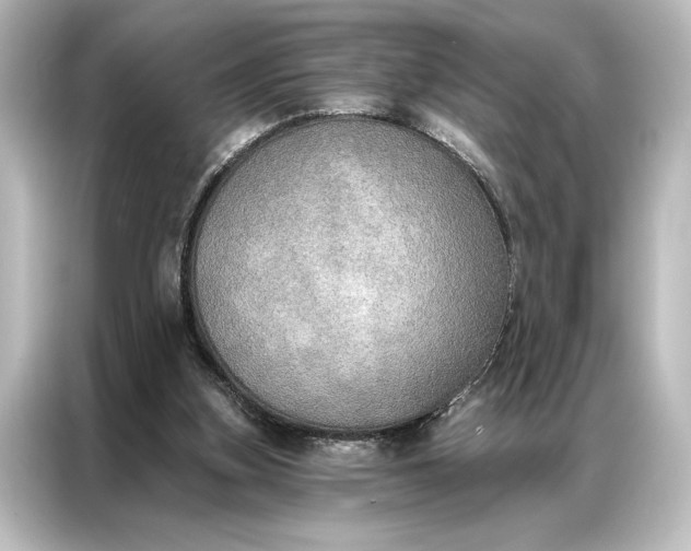 X0000087040155200705021143