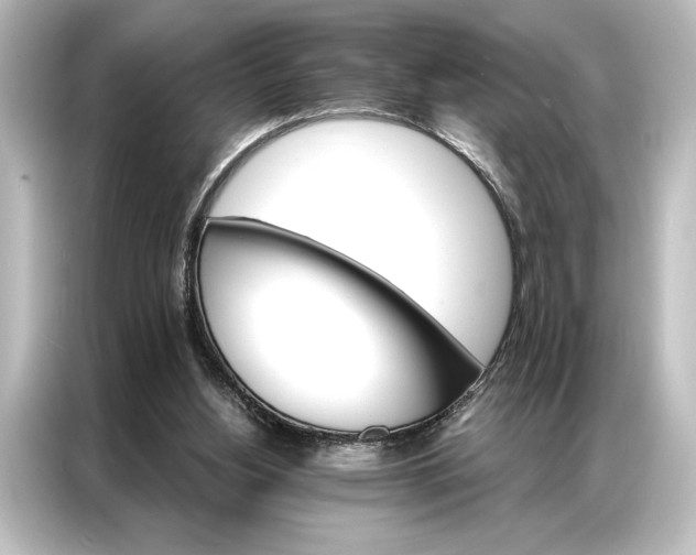 X0000087040156200705021143