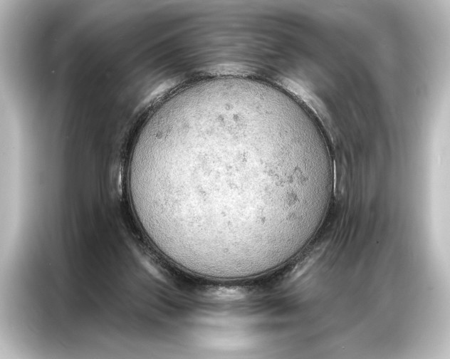 X0000087040157200705021143