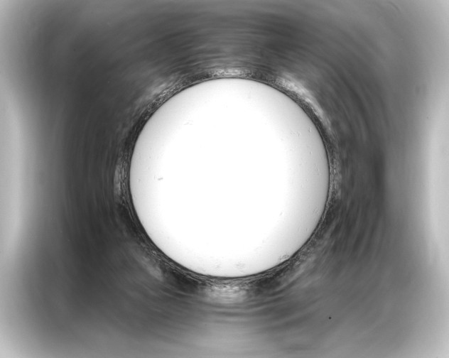 X0000087040161200705021143