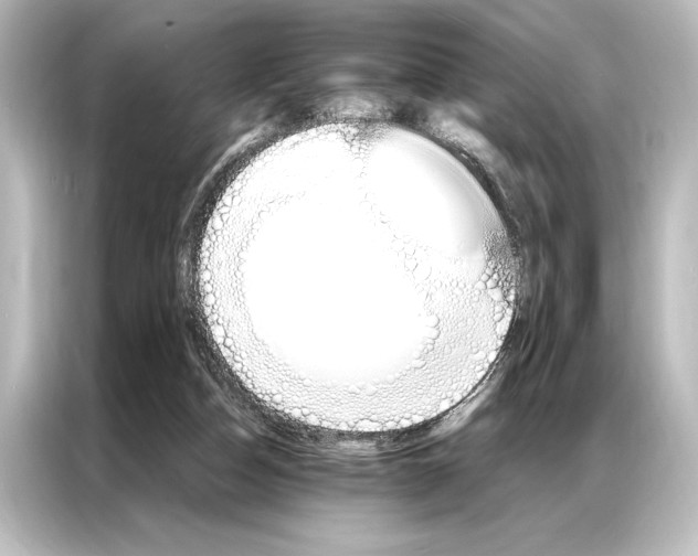 X0000087040162200705021143