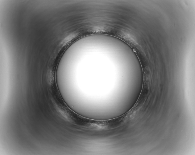 X0000087040164200705021143